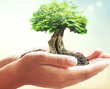 ISO 14001